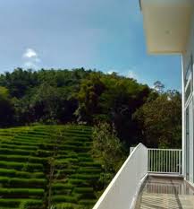 Villa Tepi Sungai Di Puncak Dengan Kolam Renang Ke Air Terjun Tinggal Jalan Kaki Villa Kampung Air Cilember