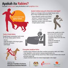 Jika punya, jangan lupa untuk memberinya vaksin. Vaksin Rabies Untuk Anjing Dan Kucing Eintan Nurfuzie Lifestyle Beauty Travel Tips Rawatan Kucing Review