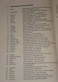 11 contoh alat musik ritmis tradisional dan modern beserta. Sebutkan Dan Jelaskan Alat Musik Yang Ada Di 34 Provinsi Brainly Co Id