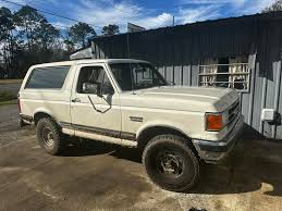 Image result for Light Smoke 1991 Bronco