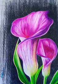 Purple Flowers Oil Pastel Art Oil Pastel Paintings Oil Pastel Drawings Easy