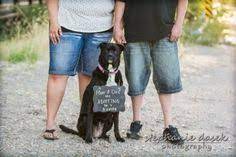 Are you eager to adopt a pet and wondering how to go about it? Stephanie Dasek Photography Adoption Pictures Family Photography Child Photographer Layton Utah Phot Photographing Kids Adoption Photos Family Photography
