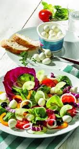 Diat Salat Rezept Mit Mozzarella Rezept Rezepte Leckere Salat Rezepte Salat Rezepte Gesund