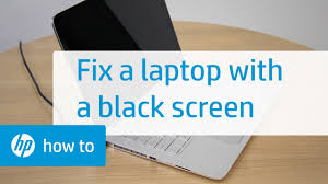 Click on a color box to enable full screen. Hp Notebook Pcs Computer Starts But Screen Remains Blank Windows 10 8 Hp Customer Support