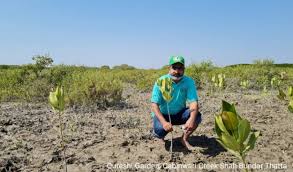 Father's day is celebrated in honor of the fathers and is celebrated every year on 3rd sunday of june. Pakistan Restores Mangroves For Economy And Ecosystem Benefits