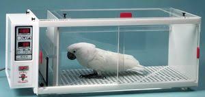 Exotics Pro Care Veterinary Equipment Avian Incubator Veterinaria Jaulas Equipo