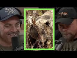 Aron Snyder Faced Down a Grizzly Bear