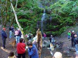 The trailhead is located off of bolinas fairfax road, just past alpine lake. Top 10 Marin County Waterfall Hikes Ronnie S Awesome List