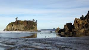 Things To Do At Kalaloch And Ruby Beach Olympic National Park