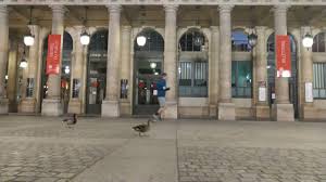 Carl bildt was the prime minister of sweden between 1991 and 1994. Carl Bildt On Twitter If You Happen To Be A Duck This Could Be A Good Time To Take Your Partner And Look Around On The Stre Paris Street Street Venice