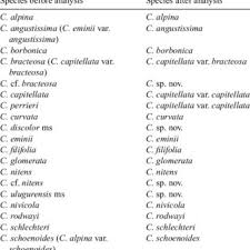 Image result for Asterochaete angustissima