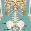Left side abdominal pain can be caused both by organs and structures on the left section of the abdomen as well as those located away from the rectus sheath haematoma can cause a mass that causes considerable pain. 1