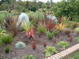 Assorted Flax And Grass Plants Planting Flowers Plants Xeriscape