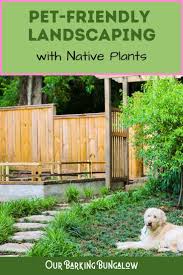 Pet Friendly Backyard Ideas With Native Plants In 2020 Pet Friendly Backyard Dog Friendly Garden Native Plants