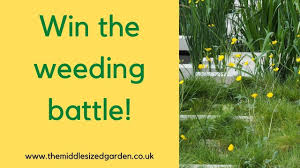 We did not find results for: How To Weed Your Garden Expert Tips Youtube