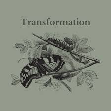 We did not find results for: Caterpillars To Butterflies Tanit Virtual