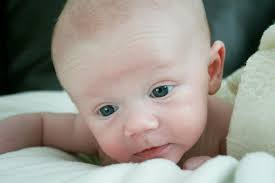 Wendy Thoms Photography