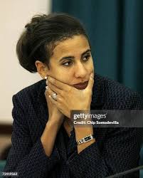 87 External Advisory Committee Stock Photos, High-Res Pictures, and Images 