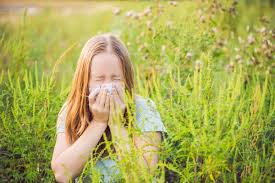 Sneezing, itchy eyes and scratchy throats are just a few symptoms of a ragweed allergy. Dieser Kafer Soll Ragweed Allergikern Helfen