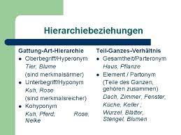 Définition et sens de méronymie. Thema 9 Bedeutungsbeziehungen Im Lexikalischsemantischen System Paradigmatik Plan