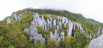 Check spelling or type a new query. Gunung Mulu National Park Sarawak