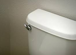 Cleaning The Inside Of Toilet Tanks Lovetoknow Toilet Cleaning Cleaning Toilet Tank Toilet Tanks