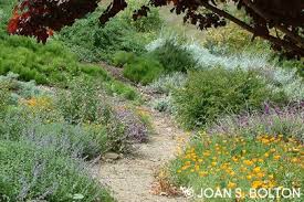Santa Barbara Garden Design Water Conservation And The Drought L Low Water Landscaping Drought Tolerant California Native Garden California Native Landscape
