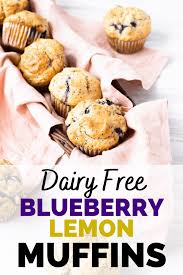 Their texture and feel reminds me of a marshmallow or a sponge cake. Dairy Free Lemon Blueberry Muffins Dairy Free For Baby