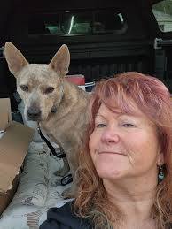 💀🤣 Effects of trazodone may vary for each dog: