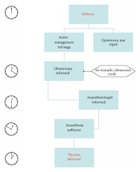 Study was 1.9%, which tallied well with the reported. Manual Removal Of The Placenta After Vaginal Delivery An Unsolved Problem In Obstetrics