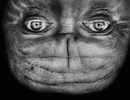 The opinion of one individual often differs from others as everyone has a different perspective of the same object. Upside Down Portraits That Transform People Into Aliens By Anelia Loubser Fgideas Org