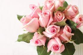 wedding roses pink pink roses valentines day flowe wedding roses pink pink roses valentines day flow flower delivery wedding flowers pink roses