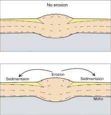 Image result for Isoetes rwandensis