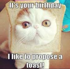 100 Best Happy Birthday Cat Memes Images Funny Happy Birthday Pictures Happy Birthday Meme Happy Birthday Pictures