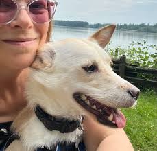 Breed Reveal Party for 10 Year Old Dog