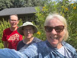 ZZ plant sprouting after soil care