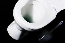 A ring around the bowl is unsightly and is sometimes tough to get rid of. When To Replace Or Repair A Cracked Toilet Black Diamond Plumbing Mechanical Inc