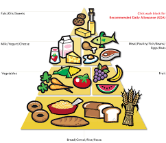 Food Pyramid Drawing At Getdrawings Com Free For Personal