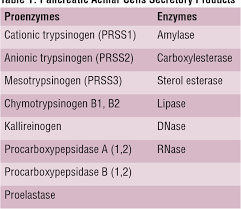 Proenzyme, any of a group of compounds that are inactive precursors of enzymes and require some change (such as the hydrolysis of a fragment that masks an active enzyme) to become active. The Physiology Of The Pancreas Semantic Scholar