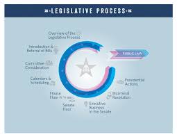 Legislatives body must function while other bodies is not function to make the laws. The Legislative Process Overview Video Congress Gov Library Of Congress