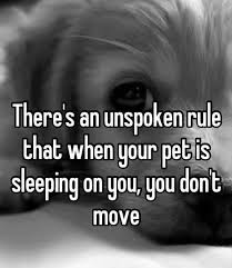 Dogbook Dogbook On Twitter Dog Quotes I Love Dogs Funny Animals