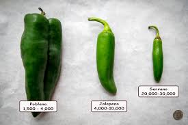 What Is The Scoville Scale Mexican Please