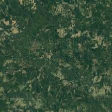 Roland cooper state park yakınlarında yapılacak şeyler. Roland Cooper State Park Campgrounds Free Camping Directory Full Of Searchable Free Or Low Cost Campgrounds Find Campgrounds Near You Or Across The Country
