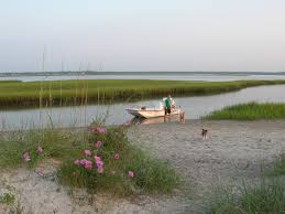 I will be your guide. Plants And Flowers Of Southeastern Coastal North Carolina Holden Beach Blog