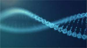 Wallace repeatedly emphasized the threat of the coronavirus, pointed out. News Anchor Diagnosed With Molar Pregnancy Undergoing Chemotherapy Fox News Video