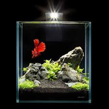 Nano Desktop Aquarium Set 3 Gallons Betta Aquarium Desktop Aquarium Aquarium