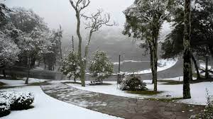 May 20, 2021 · neve em gramado o ano inteiro se não se importa que ela seja artificial, você pode ver neve em dois parques temáticos de gramado o ano inteiro. Previsao Aponta Possibilidade De Neve Na Serra Gaucha Nesta Semana