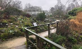 Hotels nahe botanischer garten münster. Botanischer Garten Botanical Garden Of Munster The Passenger