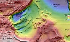 A 1 4 Billion Pixel Map Of The Gulf Of Mexico Seafloor Eos