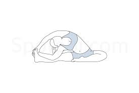 Revolved Head To Knee Pose Parivrtta Janu Sirsasana Yoga Illustration Poses Workout Guide